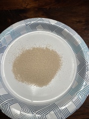 Saccharomyces cerevisiae