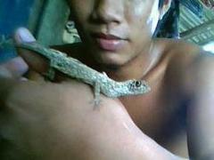 Draco