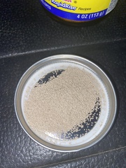 Saccharomyces cerevisiae