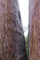 Blaesodactylus sakalava