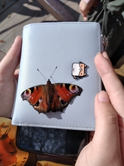 Aglais io