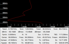 Miniopterus natalensis