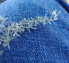 Artemisia austriaca