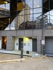 Pheucticus ludovicianus