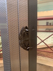 Erebus hieroglyphica