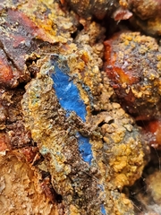 Terana