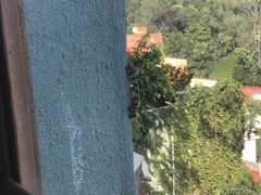 Acronyctodes mexicanaria