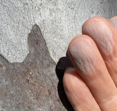 Eucalyptus mannifera