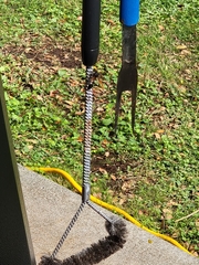 Delta pyriforme philippinense