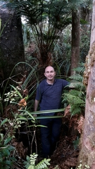 Dicksonia lanata