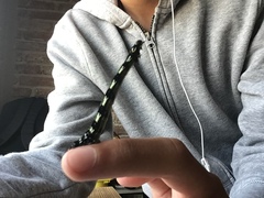 Acronyctodes mexicanaria