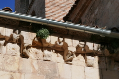 Sarcocapnos enneaphylla