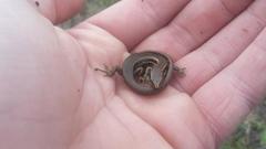 Oligosoma polychroma