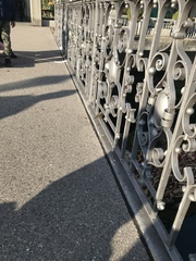 Passer domesticus domesticus