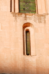 Pyrrhocorax pyrrhocorax