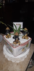 Chlorophytum laxum