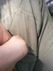 Micrelytra fossularum