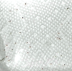 Apodrepanulatrix liberaria