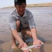 Central Asian Sturgeons - Photo (c) Alexey Chernyak (Черняк Алексей Леонидович), some rights reserved (CC BY-NC), uploaded by Alexey Chernyak (Черняк Алексей Леонидович)