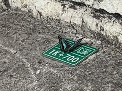 Graphium doson postianus