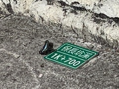 Graphium doson postianus