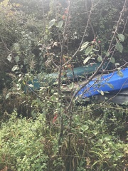 Peraphyllum ramosissimum