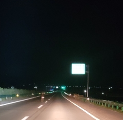 Cervus nippon mantchuricus