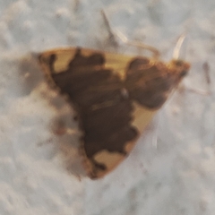 Rehimena