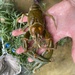 Bottlebrush Crayfish - Photo (c) Zack Graham, some rights reserved (CC BY-NC), uploaded by Zack Graham