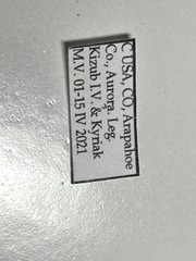 Cicindela formosa formosa