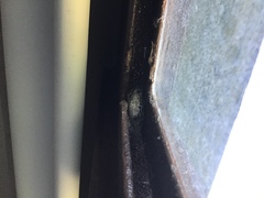 Acronyctodes mexicanaria