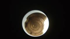 Euconulus
