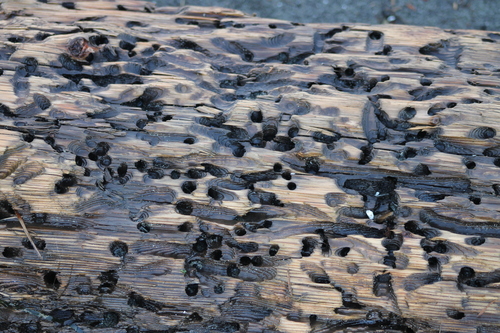 Representative image of Bankia