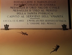 Tarentola mauritanica