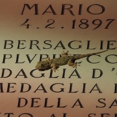 Tarentola mauritanica