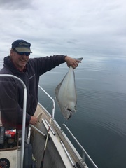 Hippoglossus stenolepis