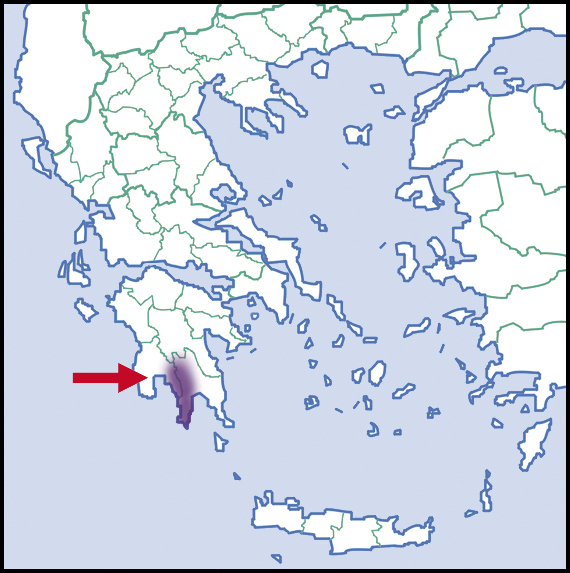Menelaus' White-Door-Snail
