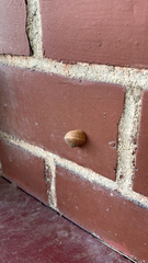 Cornu aspersum