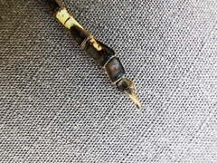 Phyllogomphoides suasus