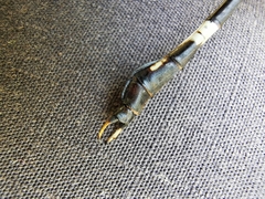 Phyllogomphoides suasus