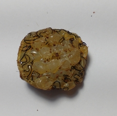 Sarasinula linguaeformis
