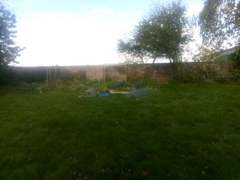 Podosphaera fuliginea