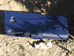 Ctenomys
