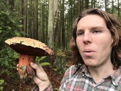 Rubroboletus pulcherrimus