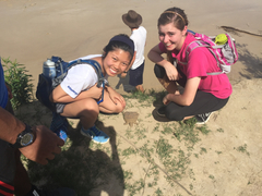 Apalone spinifera emoryi