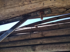 Brachygastra lecheguana