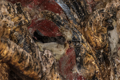 Aerodramus germani germani