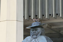 Acridotheres tristis