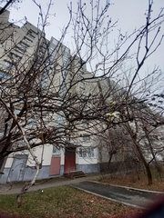 Crataegus