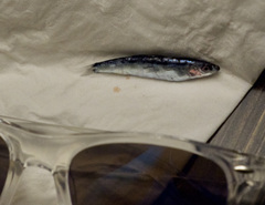 Decapterus